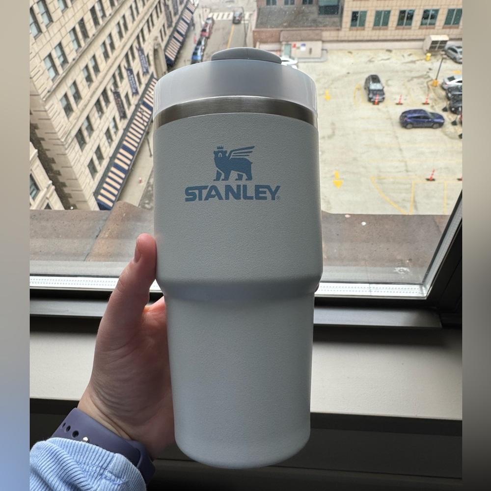 Stanley Quencher 20-fl oz Stainless Steel Insulated Tumbler
